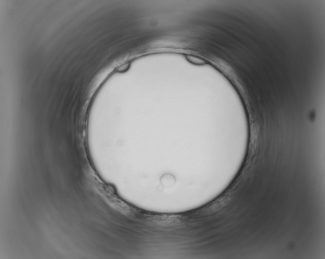 X0000115111435200912081311