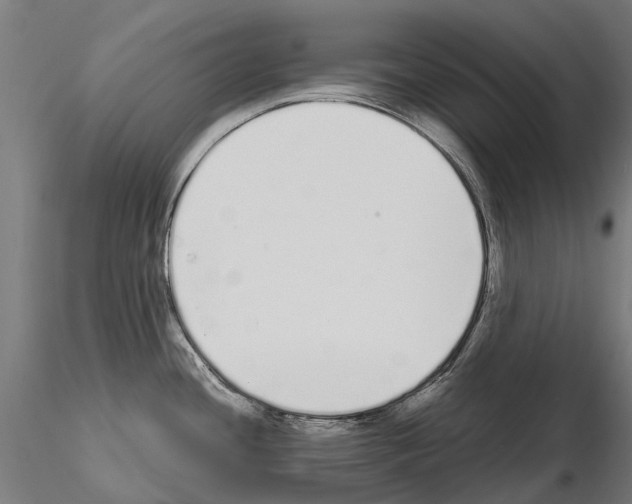 X0000115111436200912081311