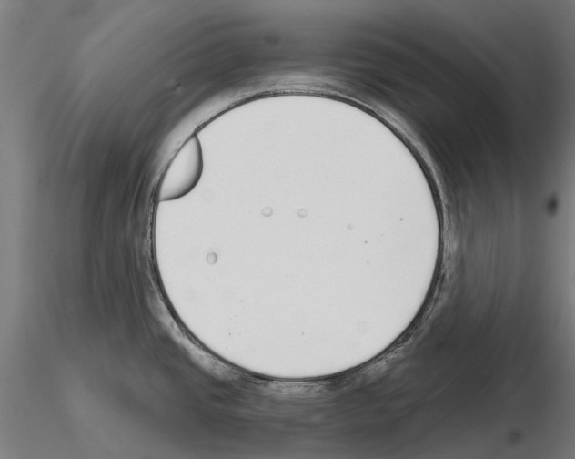 X0000115111437200912081311