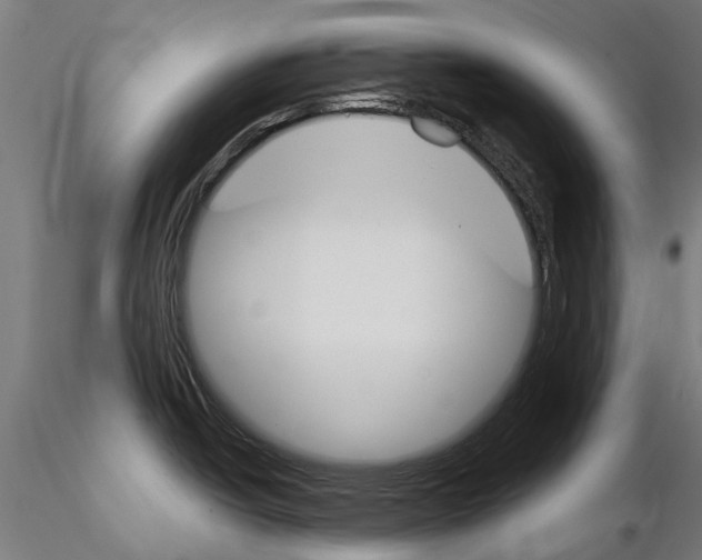 X0000115111438200912081311