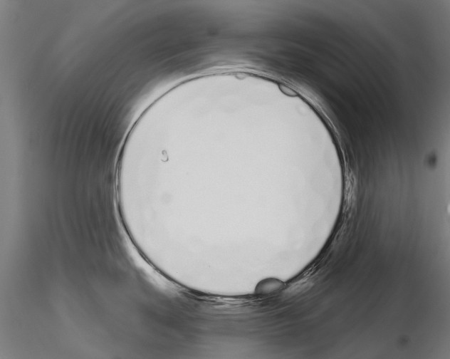 X0000115111439200912081311