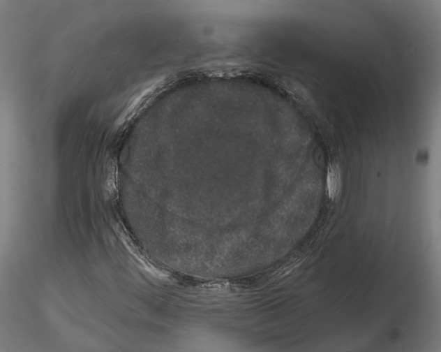 X0000115111444200912081311