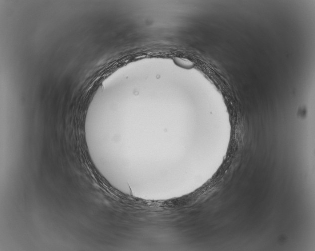 X0000115111445200912081311