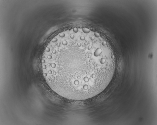 X0000115111446200912081311