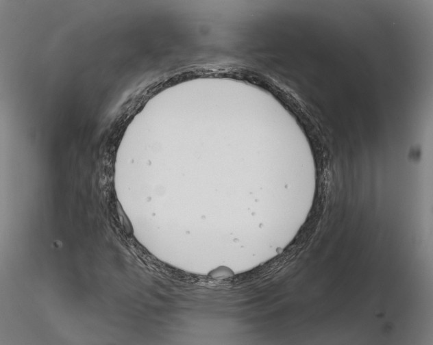 X0000115111447200912081311