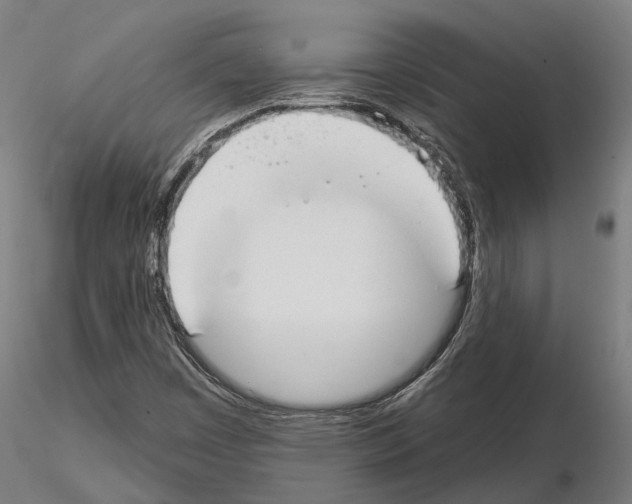 X0000115111449200912081311