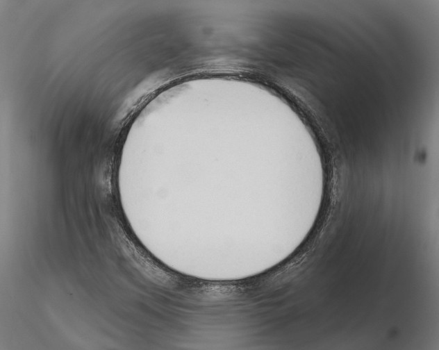 X0000115111451200912081311