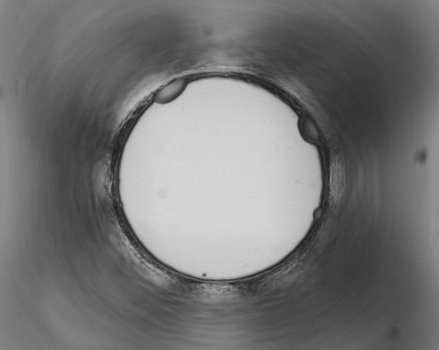 X0000115111452200912081311