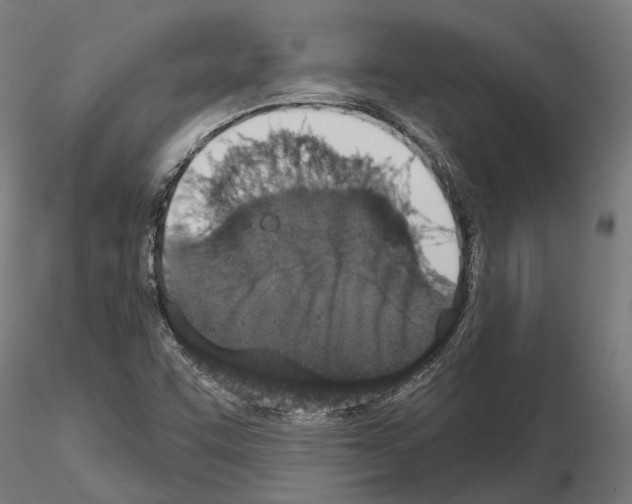 X0000115111455200912081311