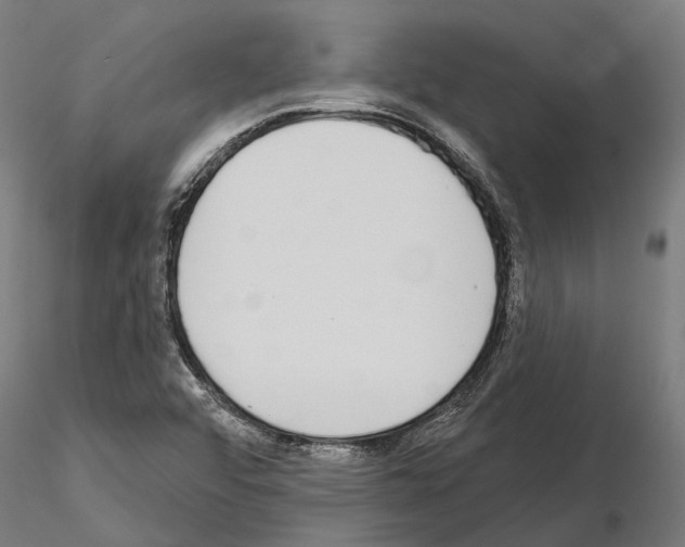 X0000115111456200912081311