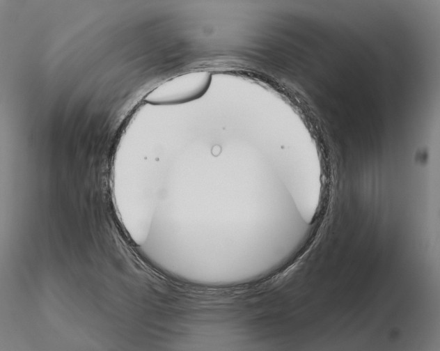 X0000115111457200912081311