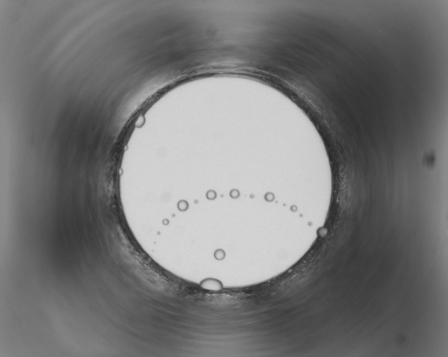 X0000115111458200912081311