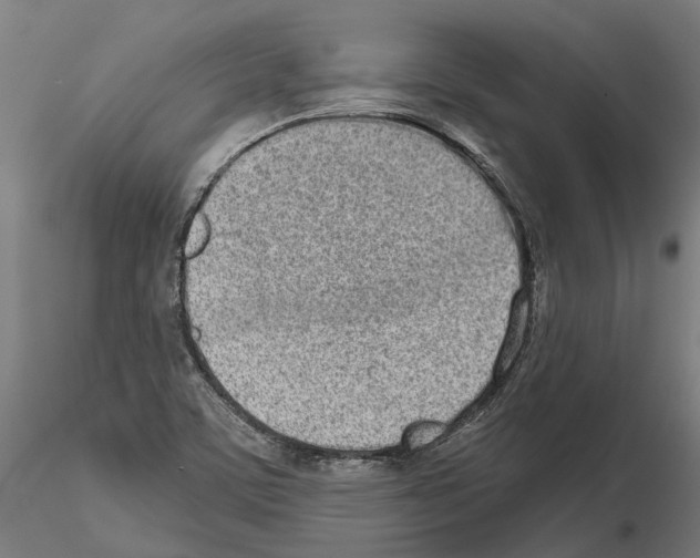 X0000115111459200912081311