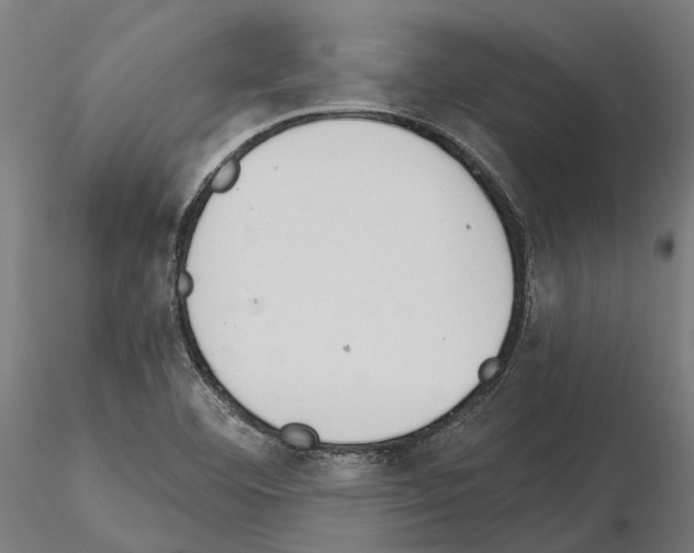 X0000115111460200912081310