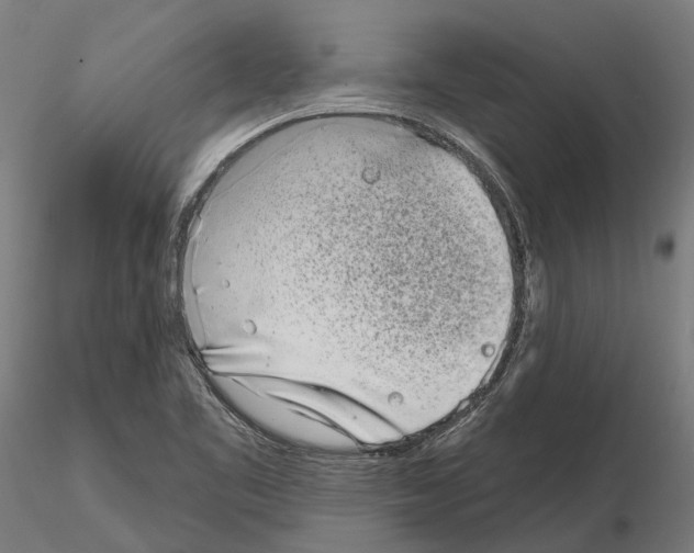 X0000115111461200912081310