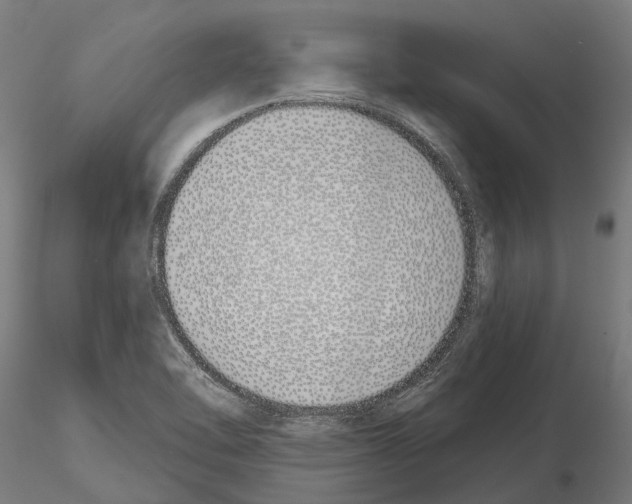 X0000115111462200912081310