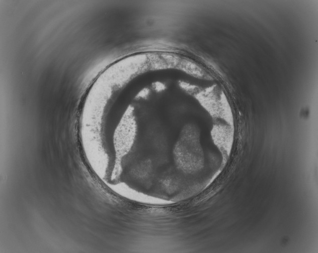 X0000115111463200912081310