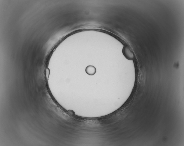 X0000115111464200912081310