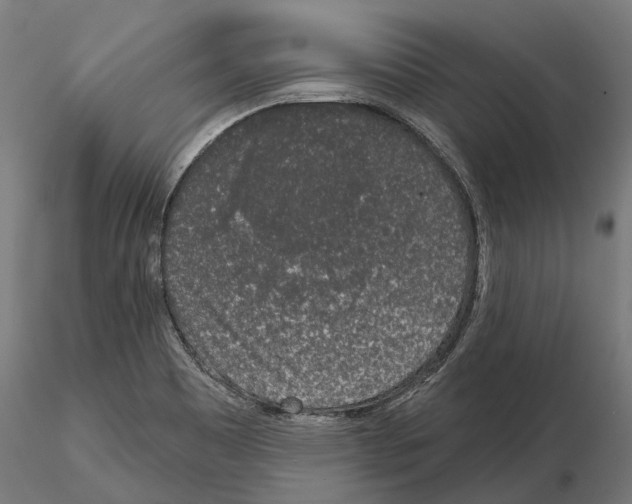 X0000115111465200912081310