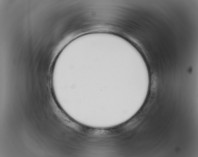 X0000115111467200912081310