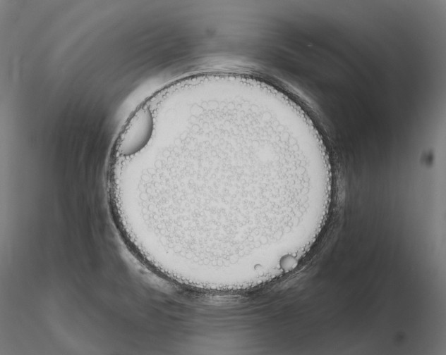 X0000115111471200912081310