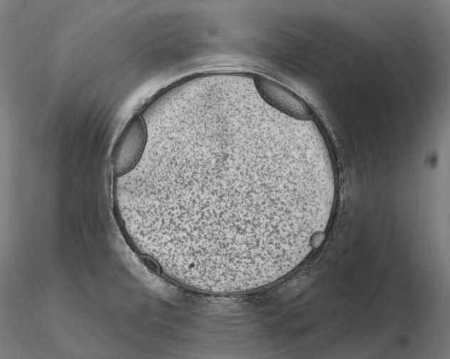 X0000115111472200912081310