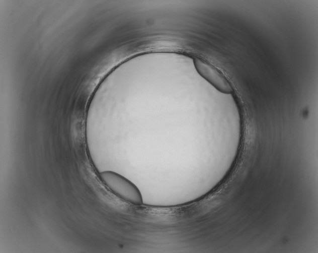 X0000115111473200912081310