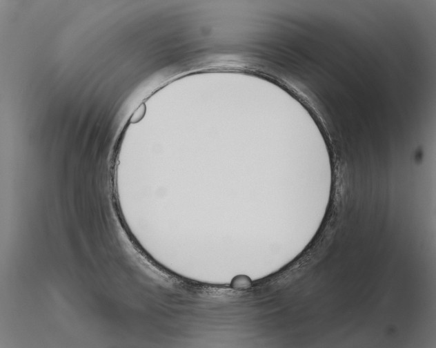 X0000115111475200912081310