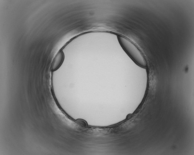 X0000115111476200912081310