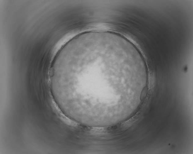 X0000115111477200912081310