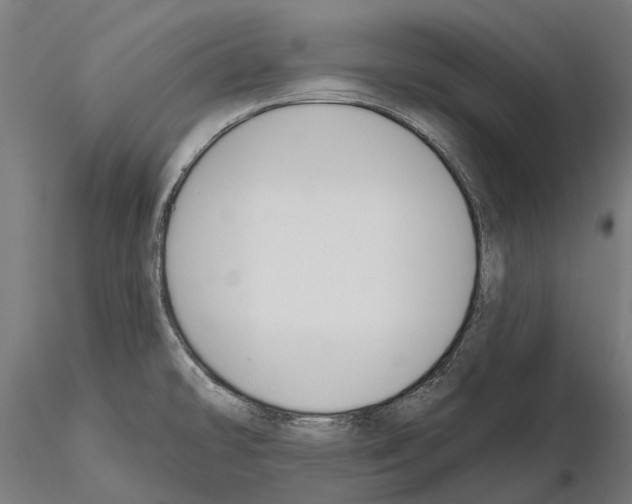 X0000115111478200912081310