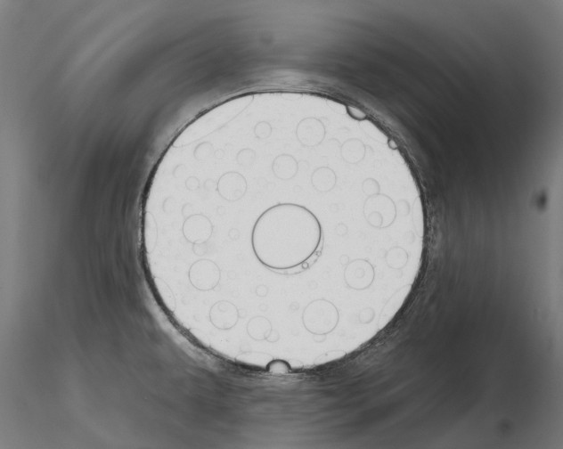 X0000115111479200912081310