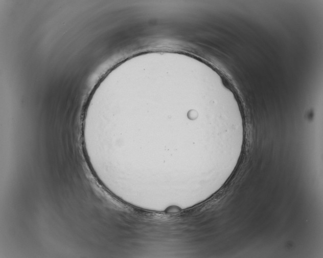 X0000115111480200912081310