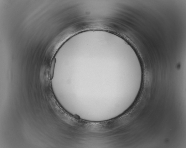 X0000115111481200912081310