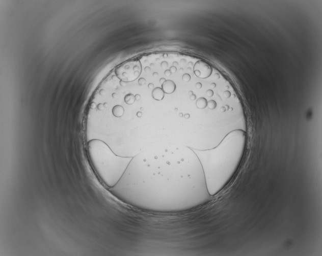 X0000115111483200912081310