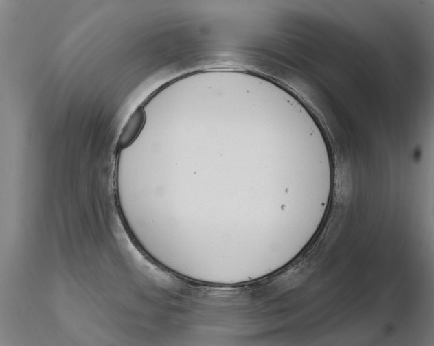 X0000115111484200912081310