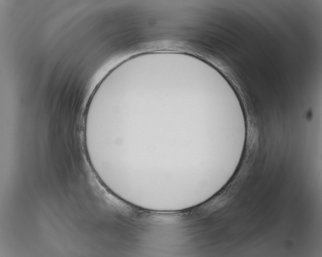 X0000115111486200912081310