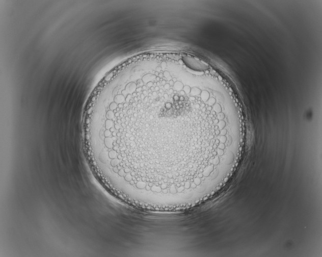 X0000115111487200912081310