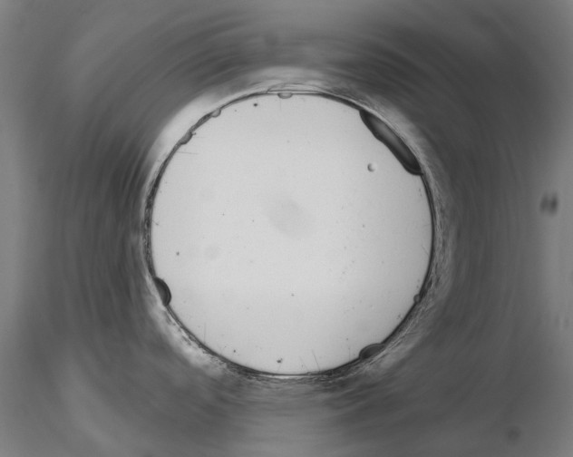 X0000115111488200912081310