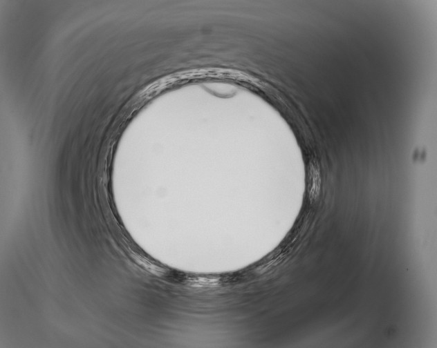 X0000115111489200912081309