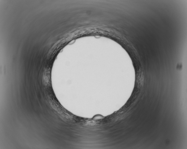 X0000115111490200912081309