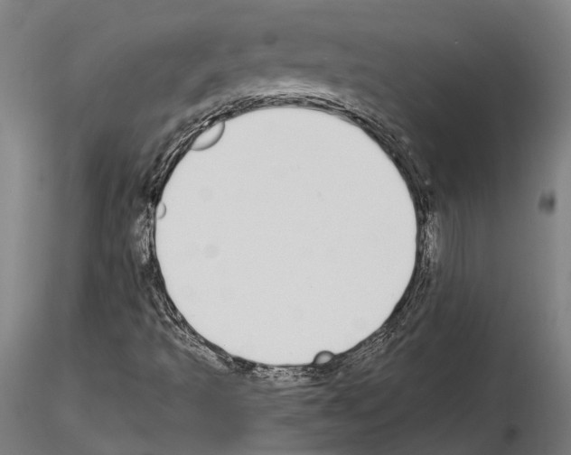 X0000115111493200912081310