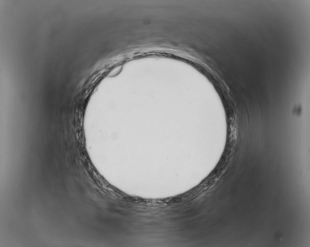 X0000115111494200912081310