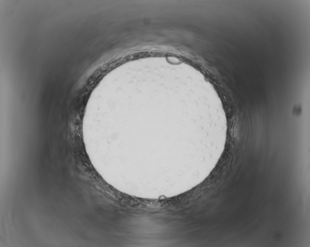 X0000115111495200912081310