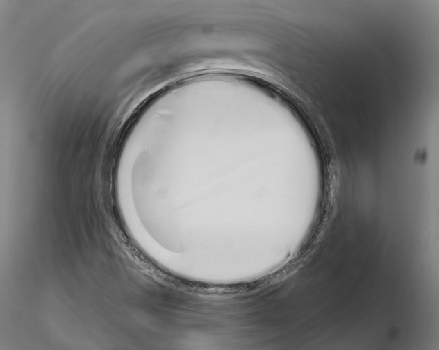 X0000115111497200912081310