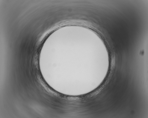 X0000115111498200912081310