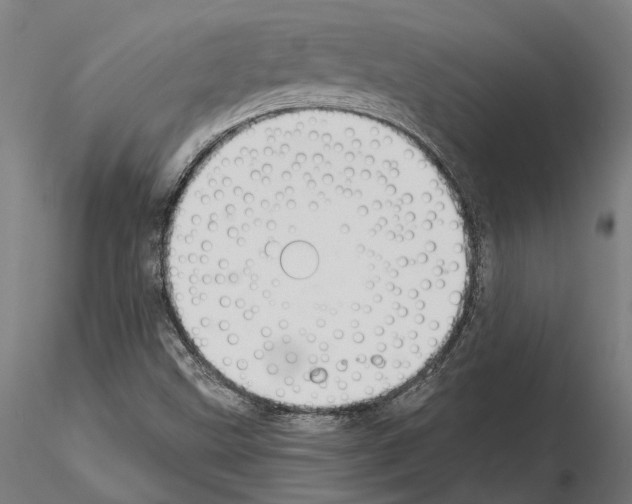 X0000115111499200912081310