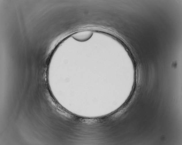 X0000115111501200912081310