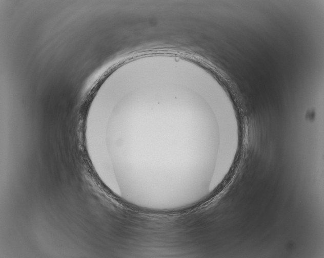 X0000115111502200912081310