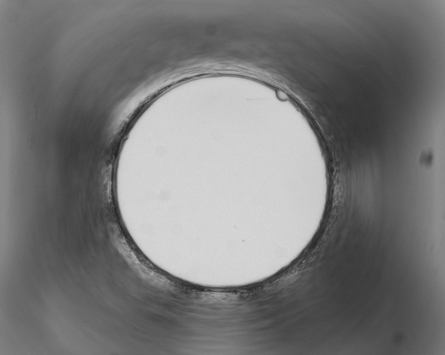 X0000115111503200912081310